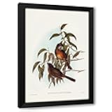 ArtDirect Olivaceous Pachycephala-Pachycephala olivacea Custom Framed Art Print Giclee Print or Canvas Options with Various Sizes and Customization by Gould, John