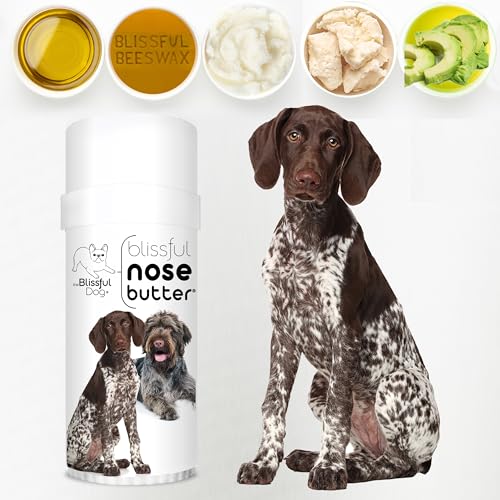 Image of The Blissful Dog German Shorthaired Pointer Unscented Nose Butter