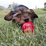 KONG Easy Treat für Hunde - No-Mess Hundeleckerli-Paste - Verwendung mit KONG Hundespielzeug - Leber - 236ml