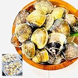 kakiya 殻付きはまぐり Lサイズ 1Kg (500g×2)/ ガリバタ付き/砂抜き済み 500ｇで11～15個相当 様々な料理に 冷凍はまぐり BBQ お吸い物 だしも活用