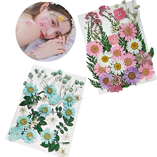 2 Stuks Gedroogde Bloem Materiaal Pakket, Gemengde Organische Natuurlijke Gedroogde Bloemen, Geperste Bloem, voor Hars… - Afbeelding 3