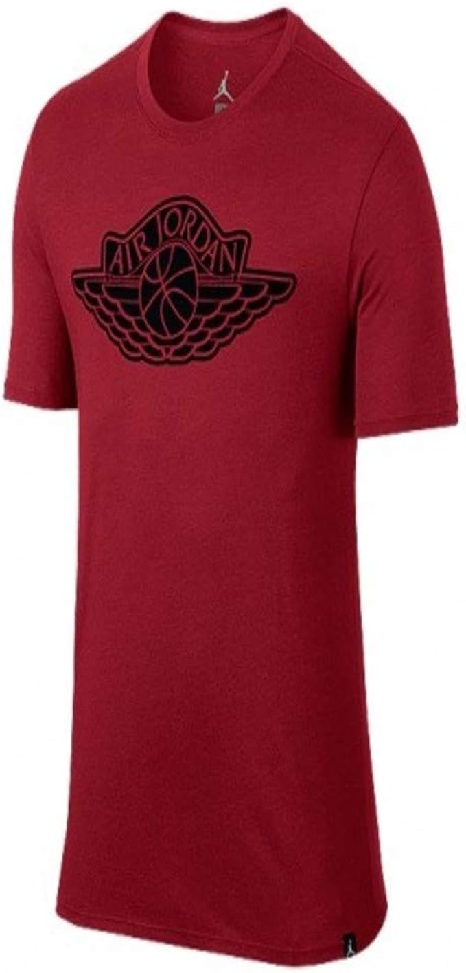 Nike Air Jordan JSW Iconic Wings Logo T 