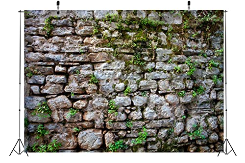 BELECO 20x10ft Fabric Vintage Brick Stone Wall Backdrop for Photography - Overgrown Ancient Rock Textured Background - Medieval Castle for Party Decorations, Studio Booth Photo Props by BELECO - Used condition - Image 3