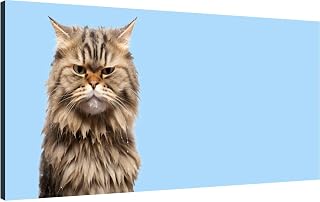 Canvas Wall Art for Living Room Bedroom Sad cat tears his eyes Big Large Wall Art Decor Framed Painting Wall Pictures Prints Artwork Office