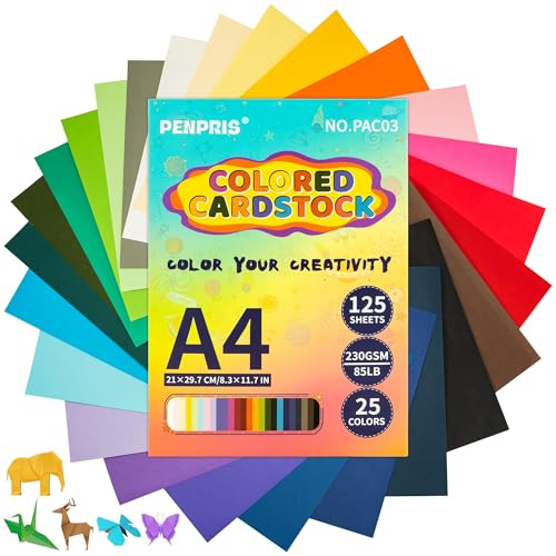 Cartulina de colores A4, 25 colores variados, papel de origami, 125 unidades, 230 g/m², papel de impresora de colores, manualidades y decoración, cartulina para hacer tarjetas PAC03