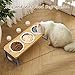 Elevated Cat Bowls with 3 Stainless Steel Bowls | 10° Tilted Anti-Vomiting...