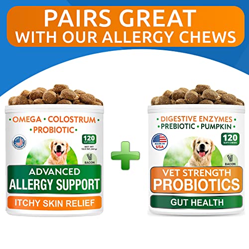 Vet Strength Dog Probiotics Chews - Gas, Diarrhea, Allergy, Constipation, Upset Stomach Relief, With Digestive Enzymes + Pumpkin + Prebiotics - Chewable Fiber Supplement - Improve Digestion, Immunity #TOP6