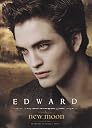 twilight trading cards Top3商品