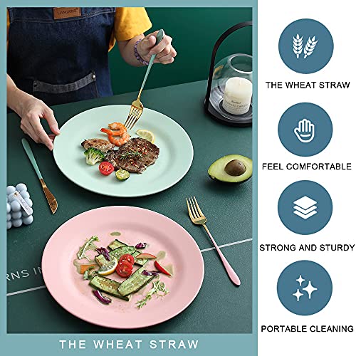 10Inch 11Inch Dinner Plates Set Of 10, Reusable Wheat Straw Dessert Dishes, Round Pasta Salad Serving Plate, Unbreakable Kids Fiber Dinnerware For Party Steak Pizza (Purple) #TOP4