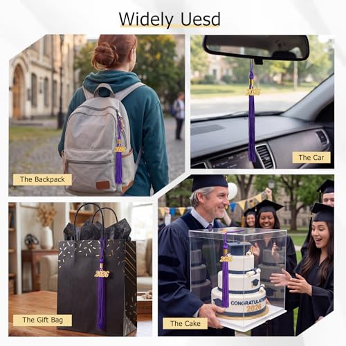 Image of GraduationMall Single&Multiple Color Graduation Tassel with 2026 Year Charm 9 inch