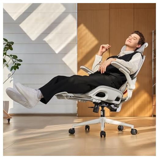 SIHOO B100 PRO Ergonomic Office Chair
