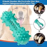 Youmics Zahnbürste für Hunde – Kauspielzeug in Knochen mit Griff – zum Bürsten und Kauen – klein, mittel und groß – Blau