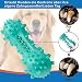 Youmics Zahnbürste für Hunde – Kauspielzeug in Knochen mit Griff – zum Bürsten und Kauen – klein, mittel und groß – Blau