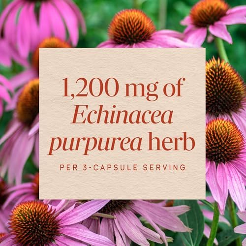 Nature's Way Echinacea Purpurea 허브, 면역 지원*, 1회 제공량당 1,200mg, 180캡슐 — 사진 4