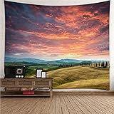 Chenlane タペストリー インディーウォール リビングルーム用 ボーホー サンセット ヒルズ カバー 大きなタペストリー トリッピー 男性 吊り下げ 装飾 寝室 グリーン レッド 350x250cm