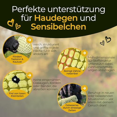 Hundpur Plüschtier Dino Grün - Kuscheltier für Hunde - mit Quietscher - Hundespielzeug - Langlebig & Reißfest - für alle Rassen & Größen