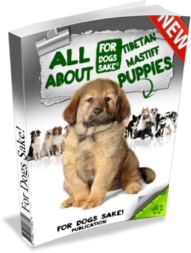 All About Tibetan Mastiff Puppies
