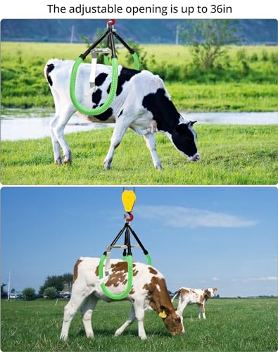 QWORK Elevador de quadril de vaca, levantador de gado pesado - Elevador de vaca de aço com passo aju