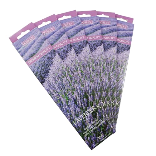 Hosley 120 Pack Incense Sticks + Bonus 120 Pack (Total