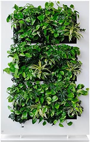 Live Divider Single Sided Freestanding Vertical Garden Kit
