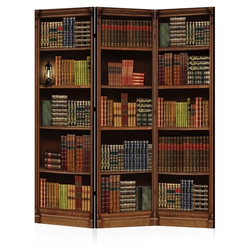 LUMASOUL Paravent Einseitig Bibliothekswand - 3 Teilig - Paravent Raumteiler Innen - Raumteiler mit Retro Bibliotheksmotiv - 135x172cm