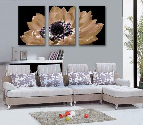Spirit Up Art Large Black and White Gorgeous Flower, Picture Painting on Canvas Print Without Framed, Modern Home Decorations Wall Art Set of 3 Each is 4060cm #D01-018