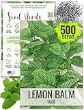 Seed Needs Lemon Balm Seeds for Planting - Non-GMO, Heirloom & Untreated Perennial Medicinal Herb - Plant Indoors/Outdoors Used for Making Calming Tea (1 Pack)