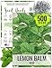 200 Seeds, Lemon Balm (Melissa Odorata) Packaged By Seed Needs