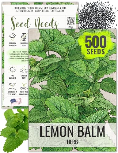 Seed Needs Lemon Balm Seeds to Plant Heirloom Non-GMO Herbs 1 Pack