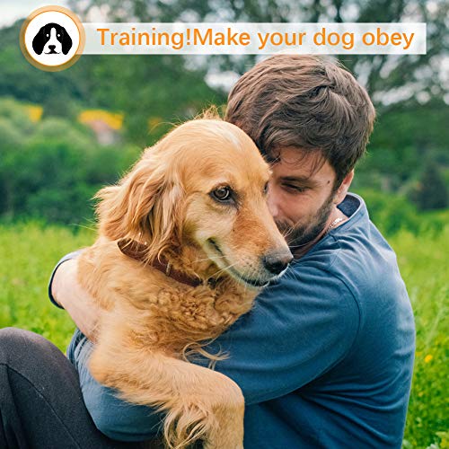 Belita Amy Anti Barking Device, Ultrasonic Dog Bark Deterrent Rechargeable Handheld Dog Training Device with 3 Adjustable Ultrasonic Volume Levels for Indoor Outdoor