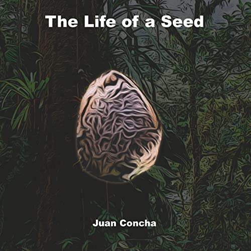 The life of a Seed