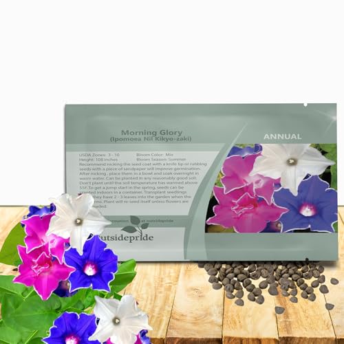 Outsidepride Kikyo-Zaki Morning Glory Seeds - 50 Pcs. Annual, Climbing