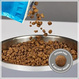 Muenster Historic Grains Canine Meals (22lb) - Ocean Fish Dry Canine Meals 22 lb Bag โ Gluten Free, Non-GMO Excessive Protein Canine Meals - Wholesome Digestive Canine Kibble for All Life Phases Muenster Historic Grains Canine Meals (22lb) โ Ocean Fish Dry Canine Meals 22 lb Bag โ Gluten Free, Non-GMO Excessive Protein Canine Meals โ Wholesome Digestive Canine Kibble for All Life Phases