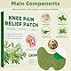 Robofun Schmerzpflaster Knie 60 Stück, Pain Relief Patch, Natural Herbal Schmerzlinderung Patch Selbstklebende Wärmepflaster Schmerzlinderungspflaster für Knie Nacken, Rücken und Muskelkater