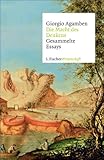  Die Macht des Denkens: Gesammelte Essays (Fischer Wissenschaft)