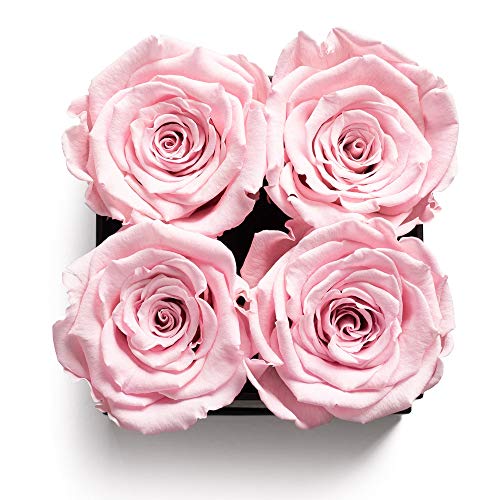 Soho Floral Arts | Roses in A Box | Genuine Roses that Last for Years (White Square 4ct, Pink) | Mothers Day Gifts