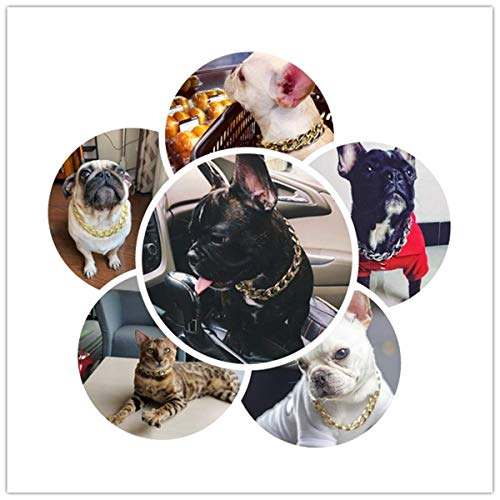 2Pcs Gold Plastic Collar Link Chain Necklace For Cats Dogs.cute Fashion Pet Metal Look Jewelry And Accessories.suitable For Small And Medium Cats And Dogs(14.6-17.3Inch) #TOP6
