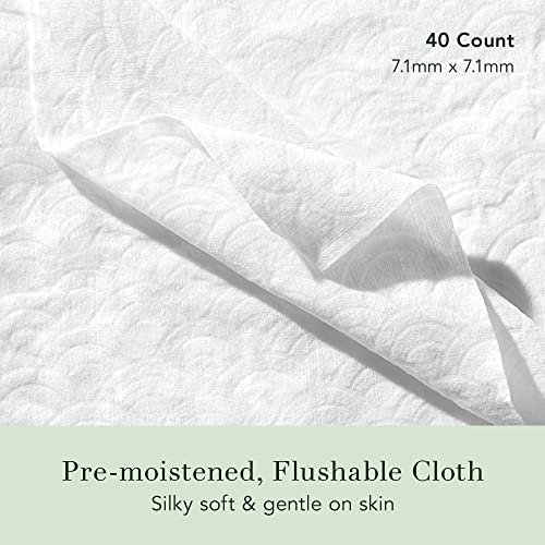 Rael Feminine Wipes, Flushable Wipes Ph Balanced - Travel Size, All Skin Types, Paraben Free, Daily Use (10 Count, Pack Of 4) #TOP1