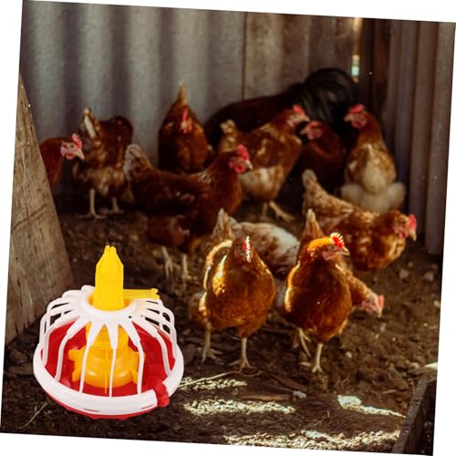 Mangeoire à poussins suspendue facile à nettoyer et installer - 8