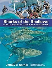 Sharks of the Shallows: Coastal Species in Florida and the Bahamas