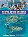 Sharks of the Shallows: Coastal Species in Florida and the Bahamas