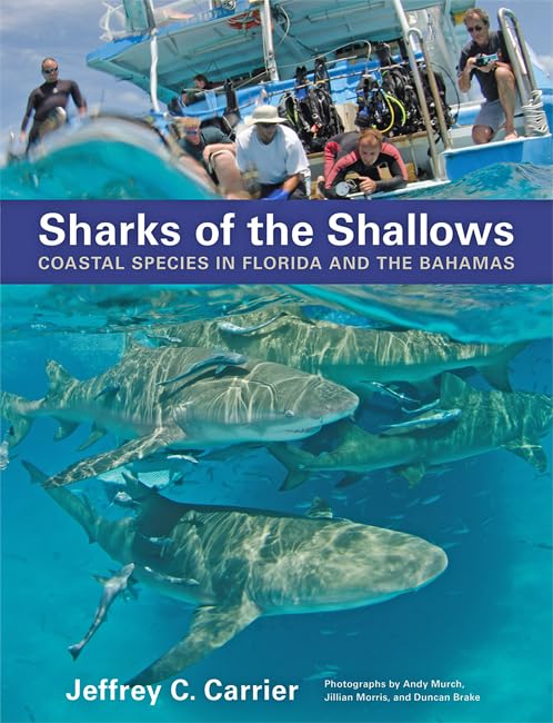Sharks of the Shallows: Coastal Species in Florida and the Bahamas