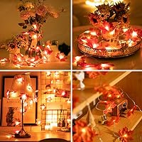 Ventvinal Herbstdekoration Ahornblatt Lichterkette, 2m 20 LED Lichter – Ansicht 4