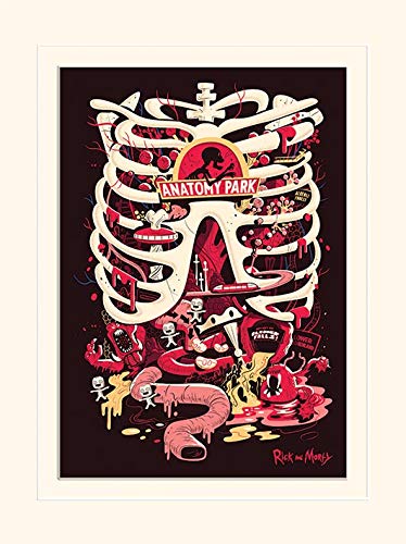 Pyramid International Rick and Morty Anatomy Park Mounted Print Memorabilia, Multi-Colour, 30 x 40 x 1.3 cm