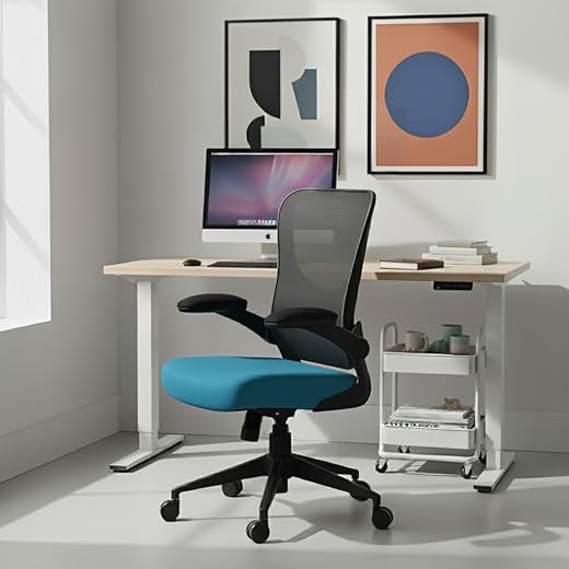 Cadeira Escritorio Ergonomica e Confortável DT3 Vita com revestimento Mesh Spandex+Tecido Softex, braço retrátil até 90º,Espuma Injetada, Certificada NR-17(Blue)