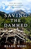 Saving the Dammed: Why We Need Beaver-Modified Ecosystems
