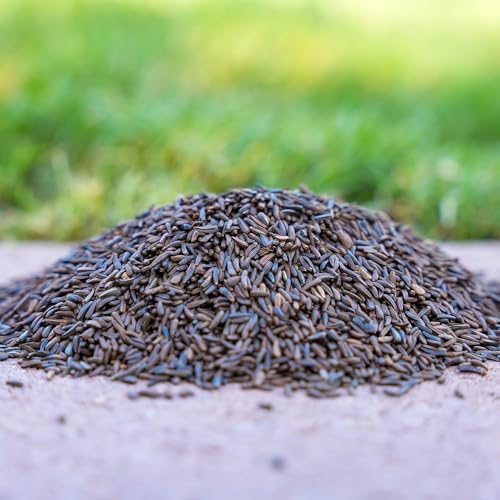 Desert Valley Premium Nyjer Seed - Wild Bird Food (5-Pounds) - Thumbnail 2