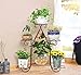 Produktbild Aufbewahren & Ordnen European - Style Iron Multi - Layer Green Radix Orchidee Multi - Funktions - Blumenregal Balkon Wohnzimmer Interior Floor Töpfe (Farbe : Bronze, größe : 77 * 21 * 72cm)