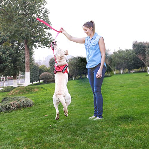 Service Dog Harness, No Pull Dog Harnesses With Handle - Breathable And Easy Adjust Dog Walking Vest For Small Medium Large Dogs - No More Pulling, Tugging Or Choking (With 2 Removable Patches) #TOP6