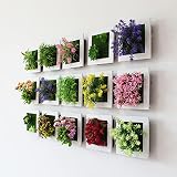 2 szt. sztuczne kwiaty w plastikowej ramce na zdjęcia - 15 x 15 cm sztuczne 3D wiszące rośliny dekoracja, sztuczne wiszące kwiaty wewnątrz do dekoracji ścian domowych (żółty, fioletowy)
